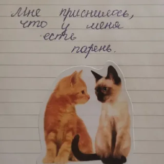 👨‍❤️‍💋‍👨