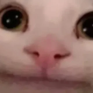 😐