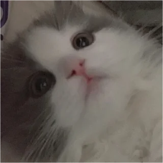 😲