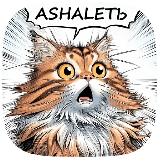 🙀