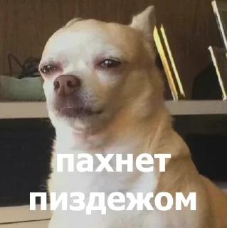 🤔