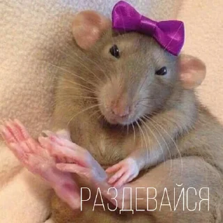 🥰
