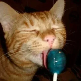 🍭