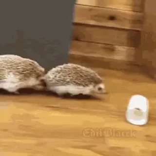 ☺