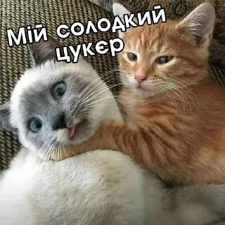 🤗