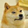 Doge(Ⲁⲡⲁⲛⲟⲅⲃ)
