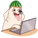 💻