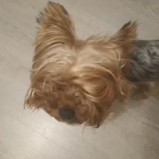 😐