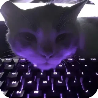 🤩
