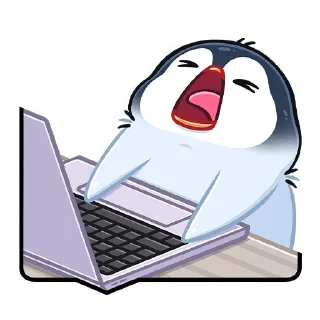 💻