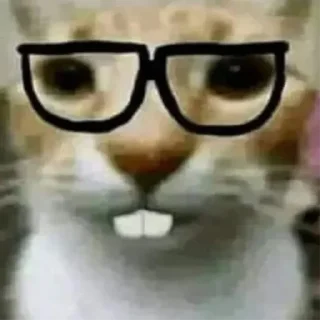 🤓