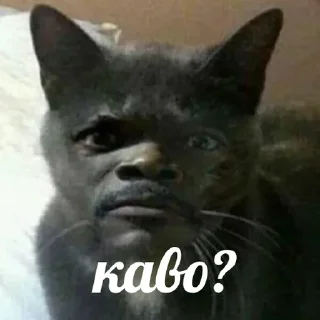 ❓