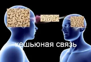 🌰