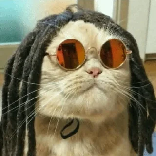 🍁