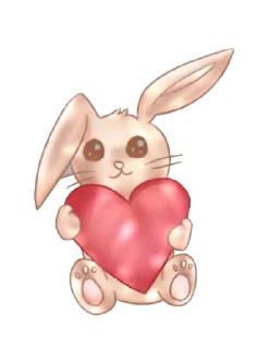 🐰