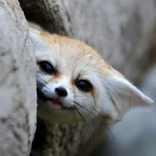 🙃