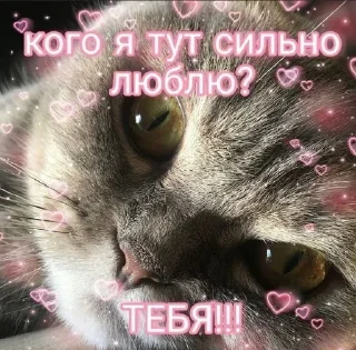 ❤️