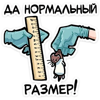 📏