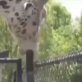 😁