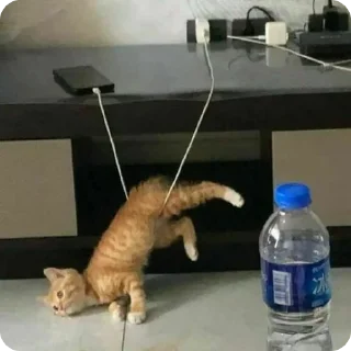 🥴