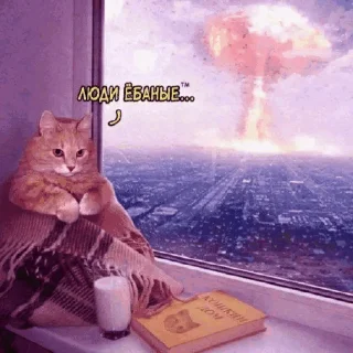 😡