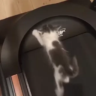 😱