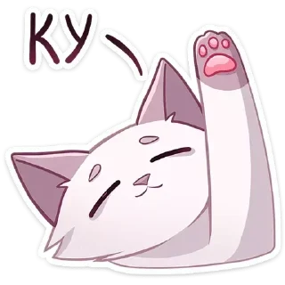 🐾