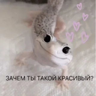 😍