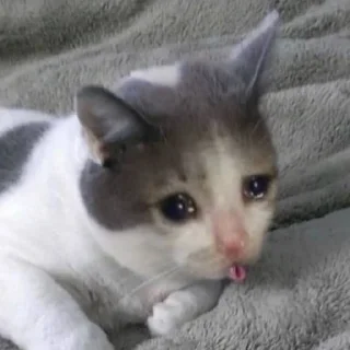 🥺