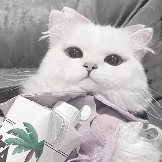 💘