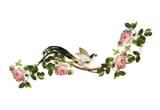 🌹