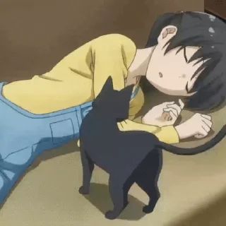 💤