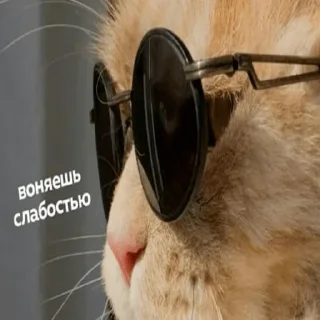 😎