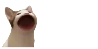 😮