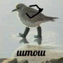 🤔