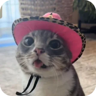 👍