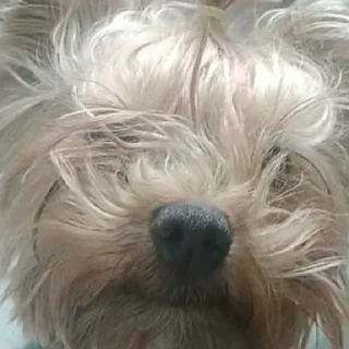 😐