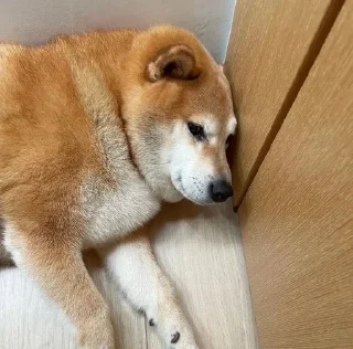 😕