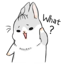 ❓