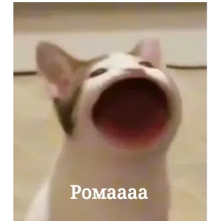 🥱