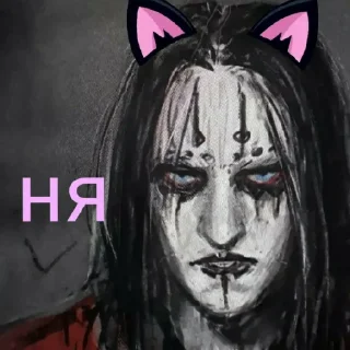 😸