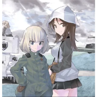 🇫🇮