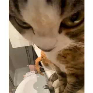 🙄