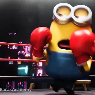 🥊