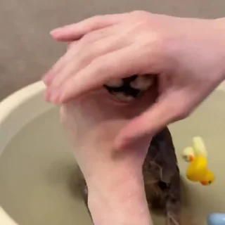 🍌