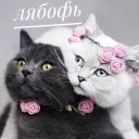 💍