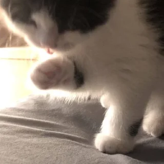 🤍