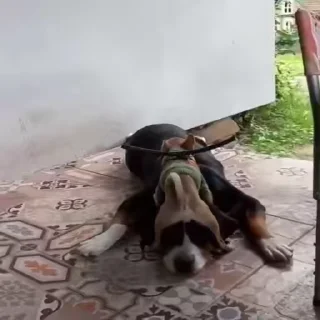 😂