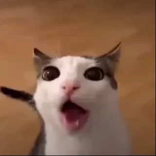 хрумки