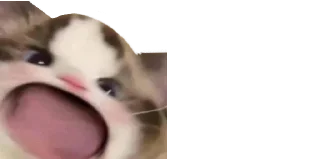 😱